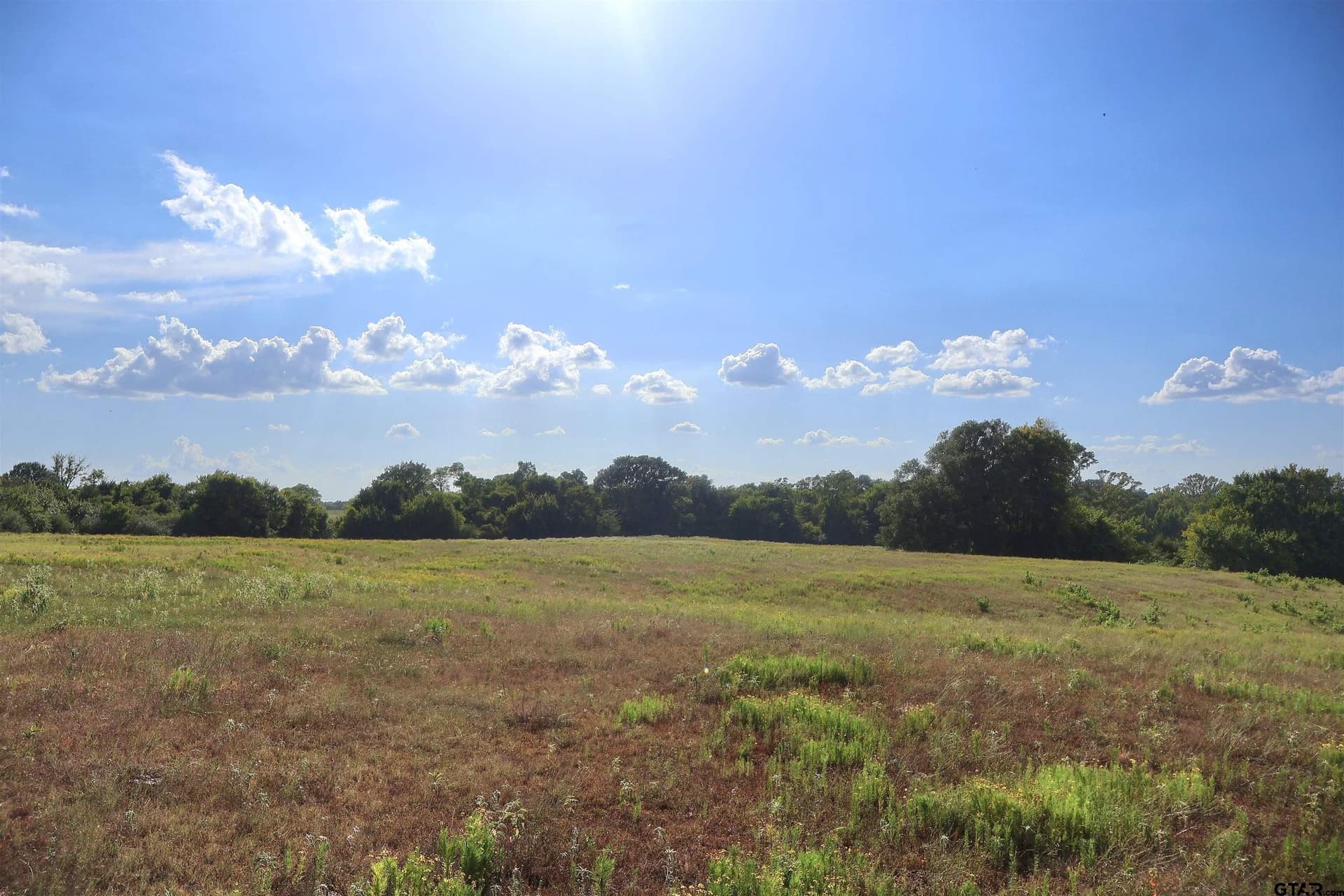 36.35 acres in Smith County - photo 21