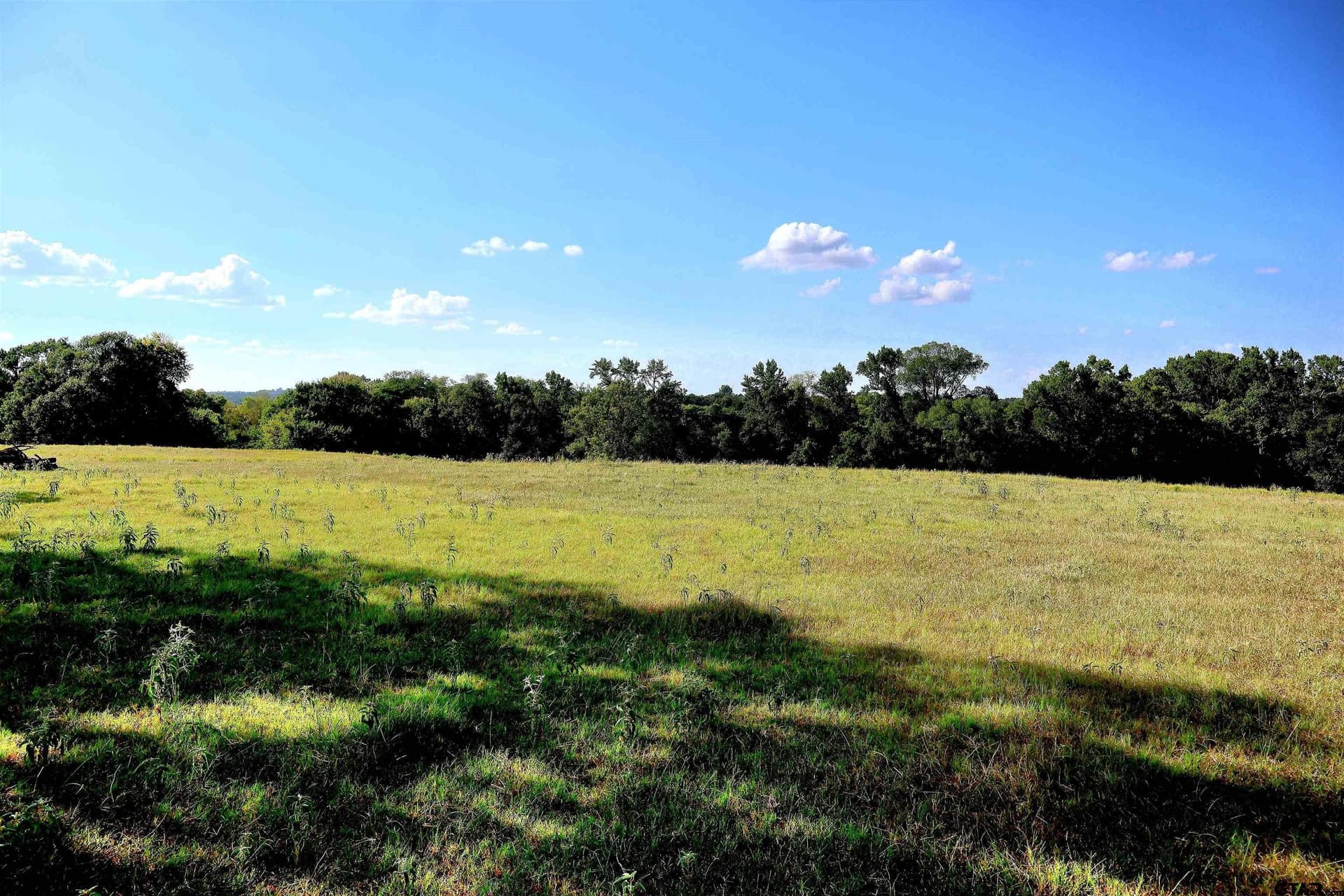 36.35 acres in Smith County - photo 15
