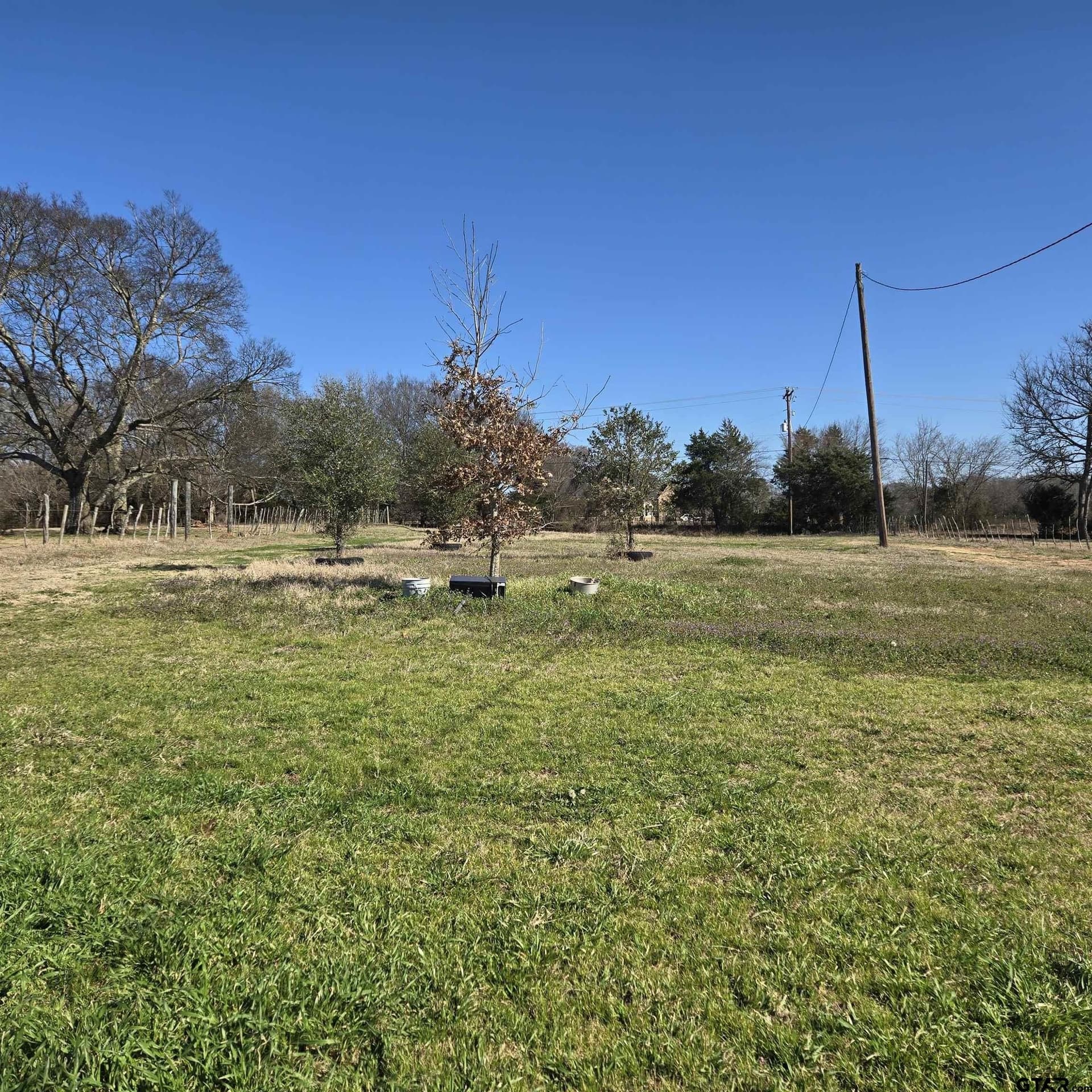 36.35 acres in Smith County gallery image 3