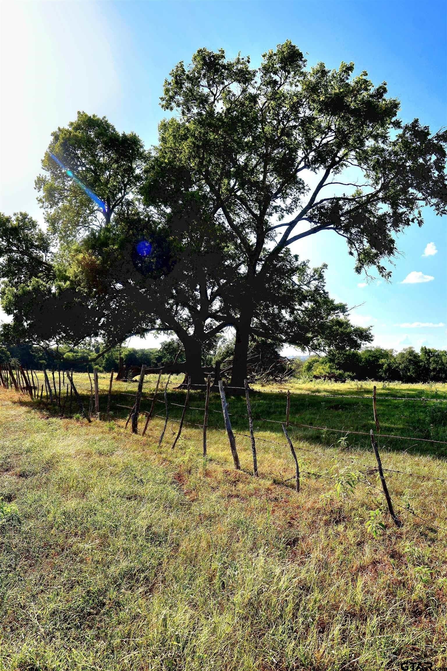 36.35 acres in Smith County - photo 41