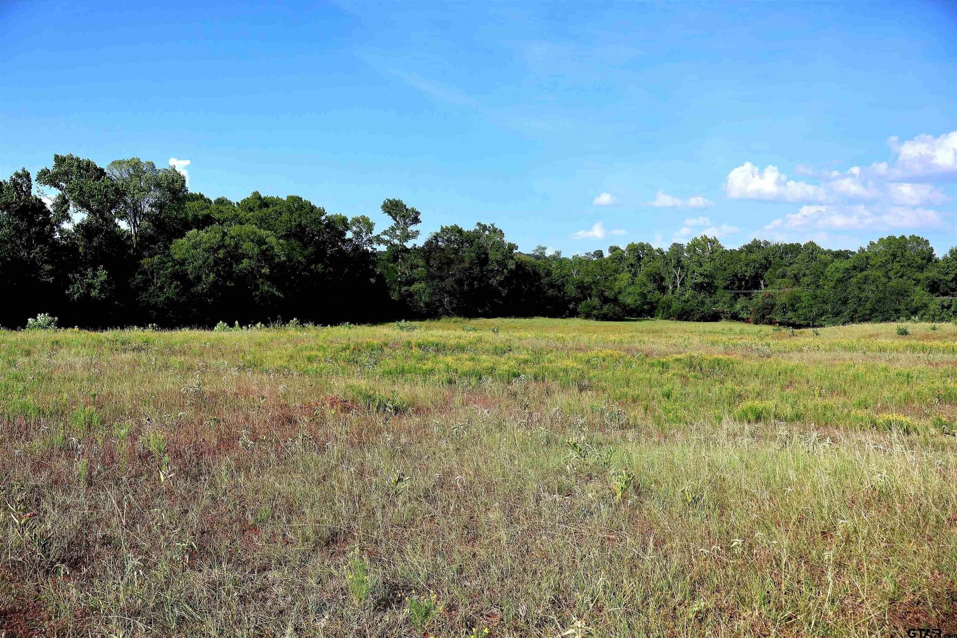 36.35 acres in Smith County - photo 28