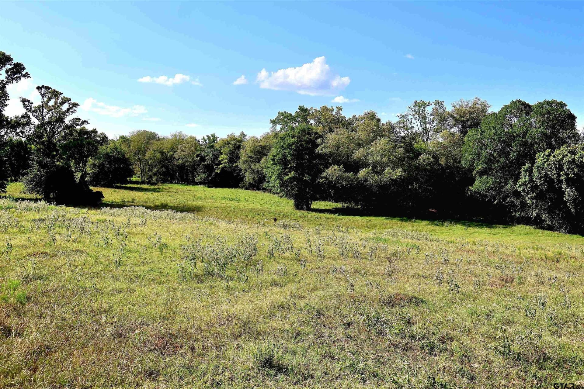 36.35 acres in Smith County - photo 29