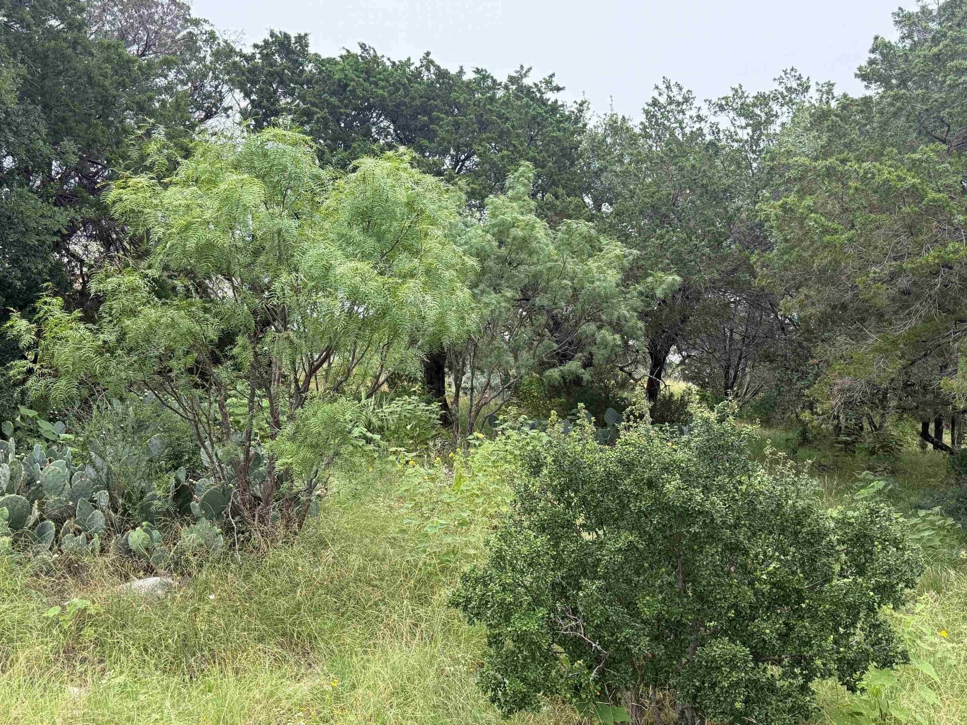 0.23 acres in Llano County gallery image 4