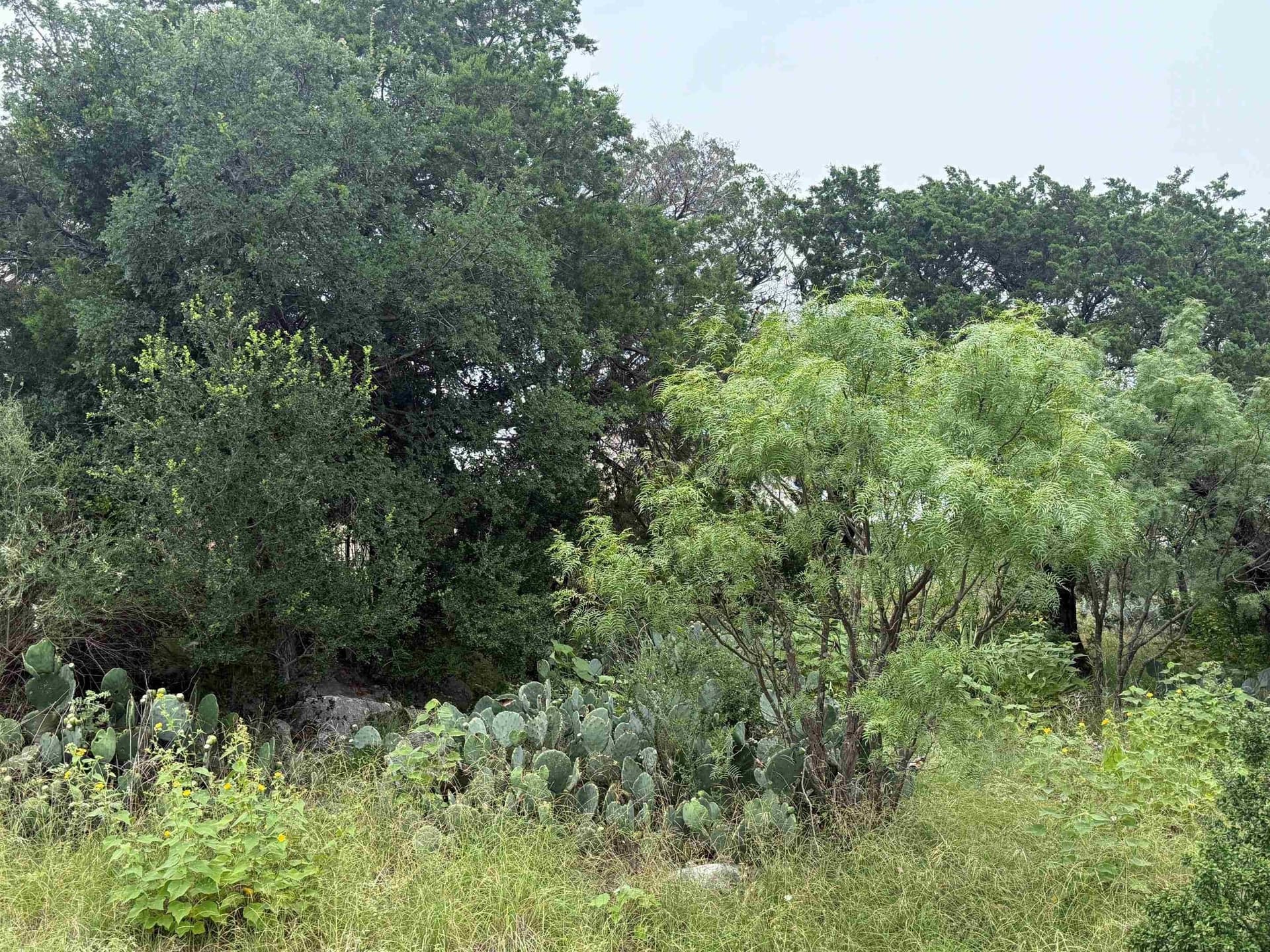 0.23 acres in Llano County featured view