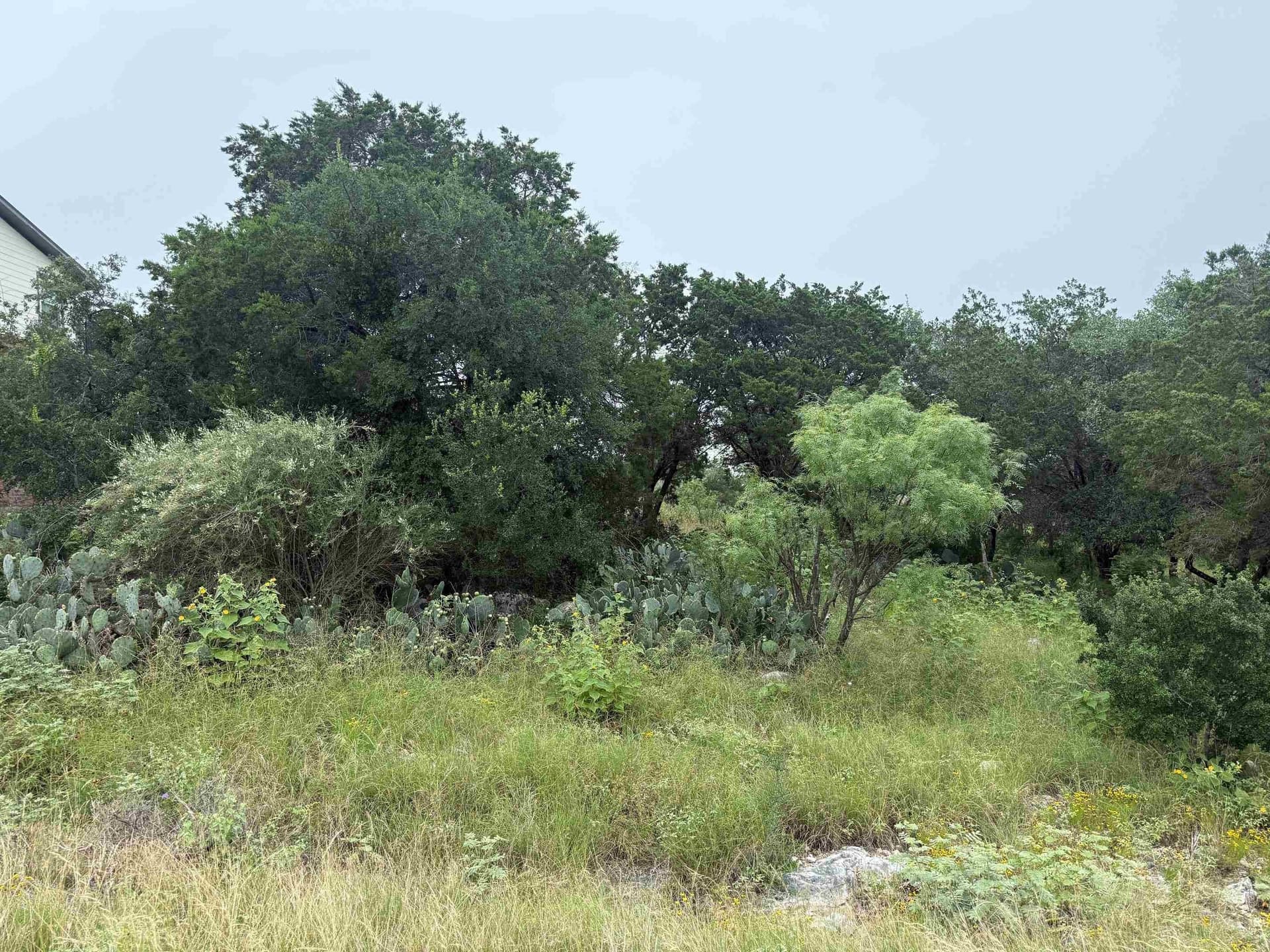 0.23 acres in Llano County gallery image 2