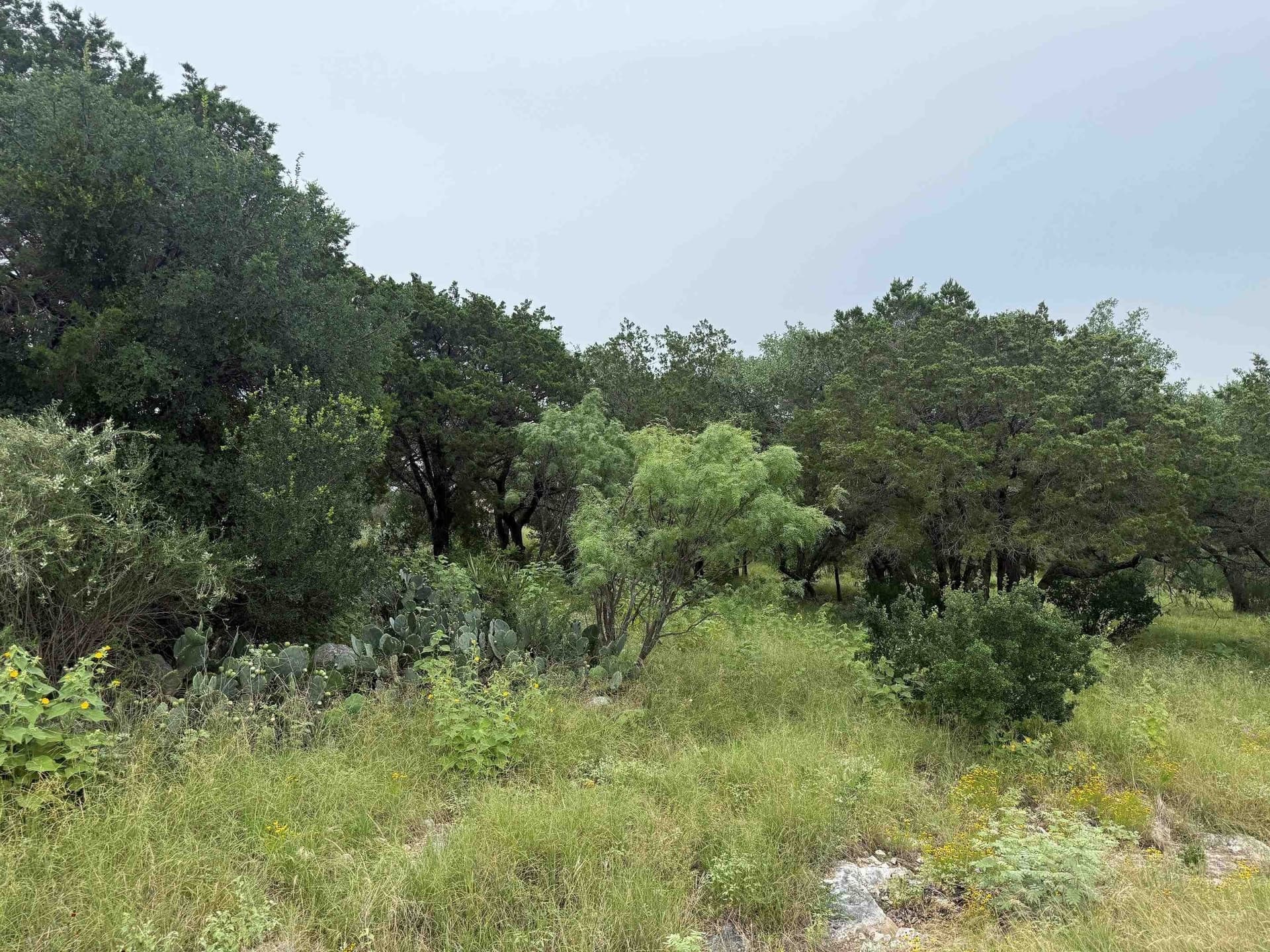 0.23 acres in Llano County gallery image 3