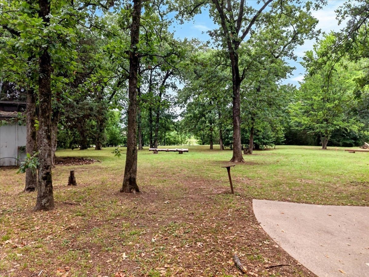 0.18 acres in Henderson County - photo 6