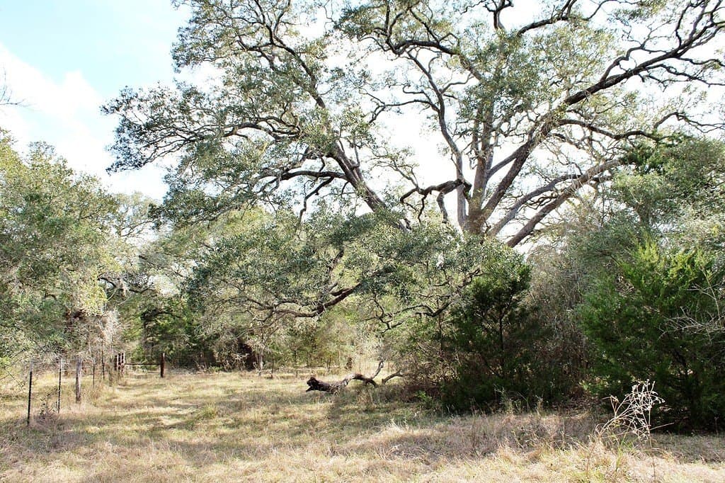 10.79 acres in Colorado County