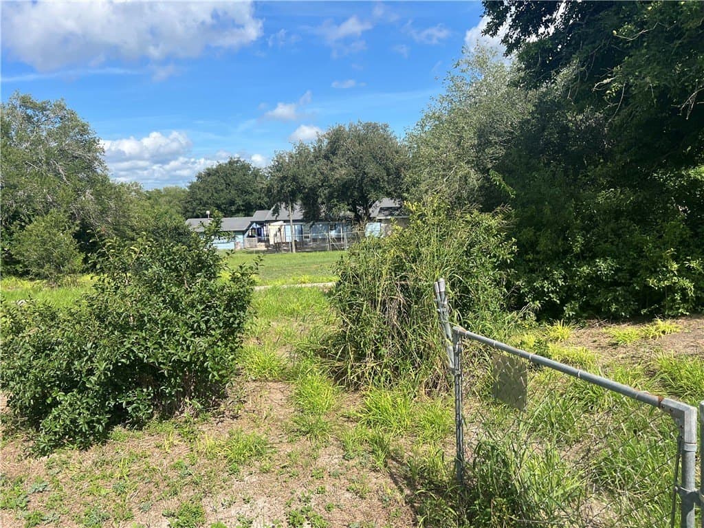 0.25 acres in San Patricio County gallery image 2