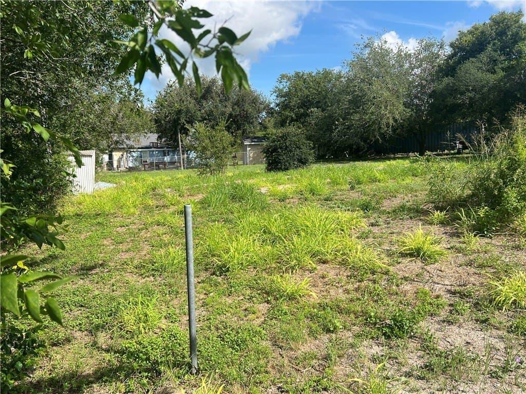 0.25 acres in San Patricio County gallery image 3