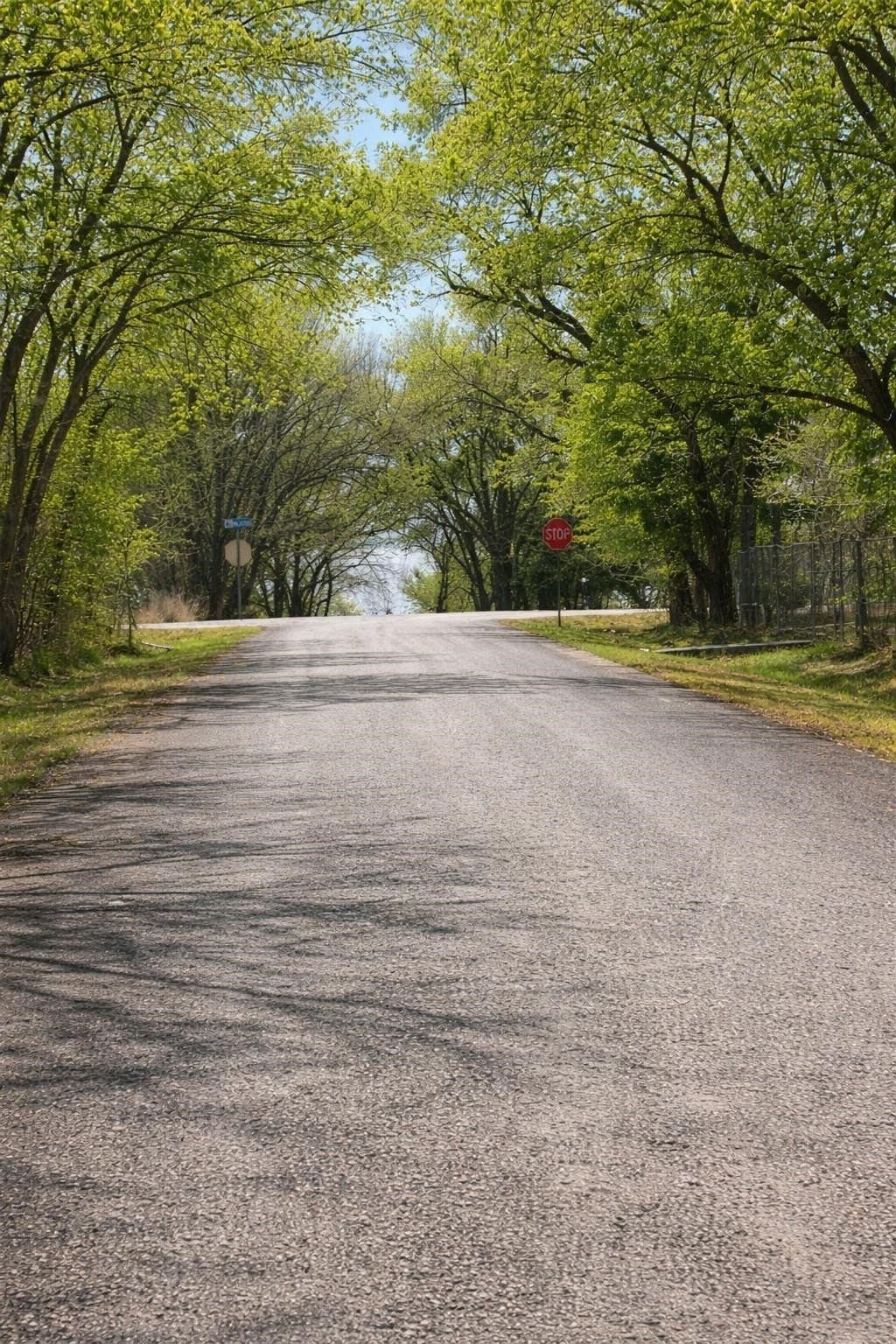 0.21 acres in Collin County gallery image 4