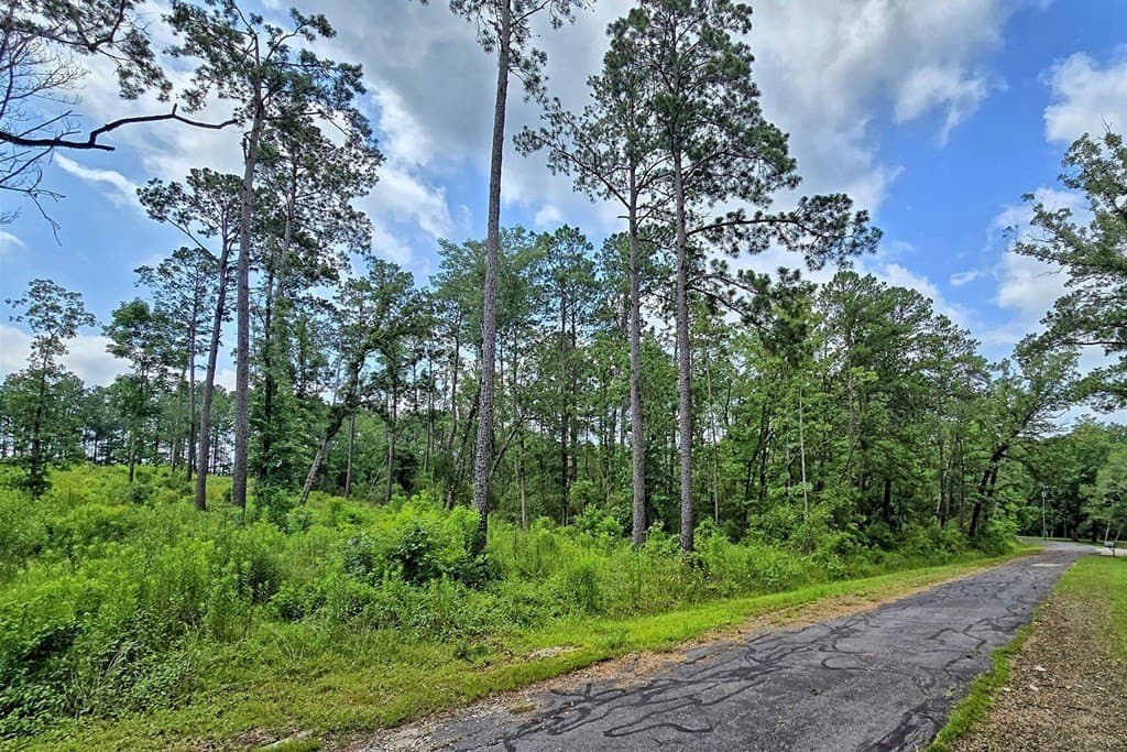 0.97 acres in Texas County gallery image 3