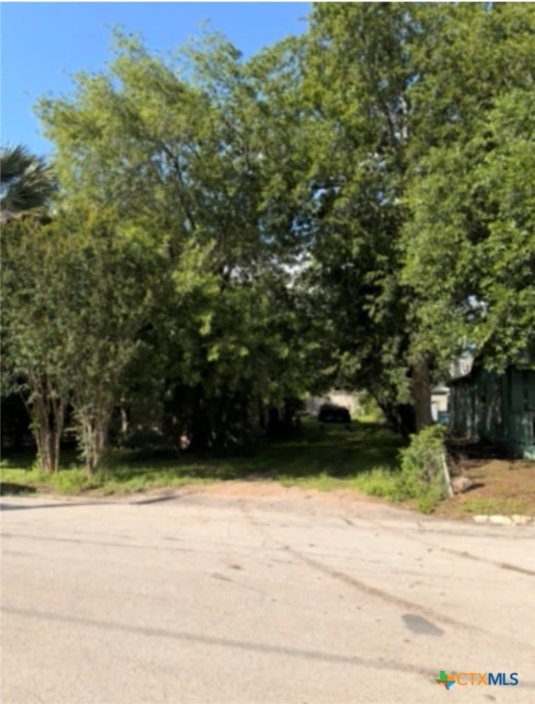 0.17 acres in Comal County gallery image 2