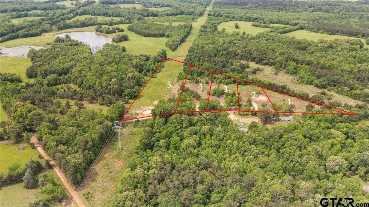 2 acres in Panola County gallery image 2