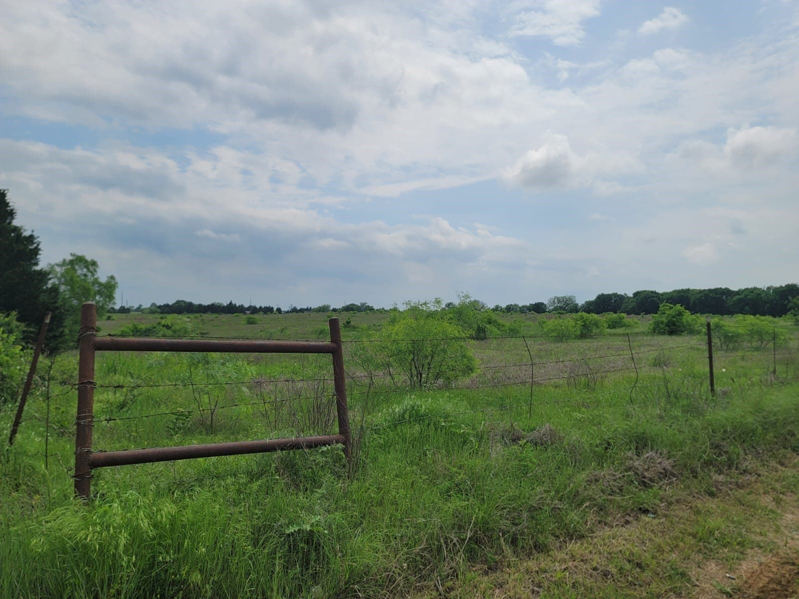 37.56 acres in Cooke County - photo 21
