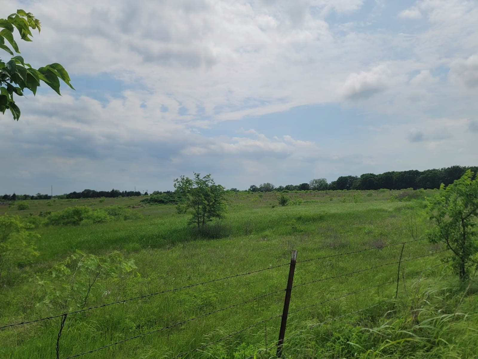 37.56 acres in Cooke County - photo 19