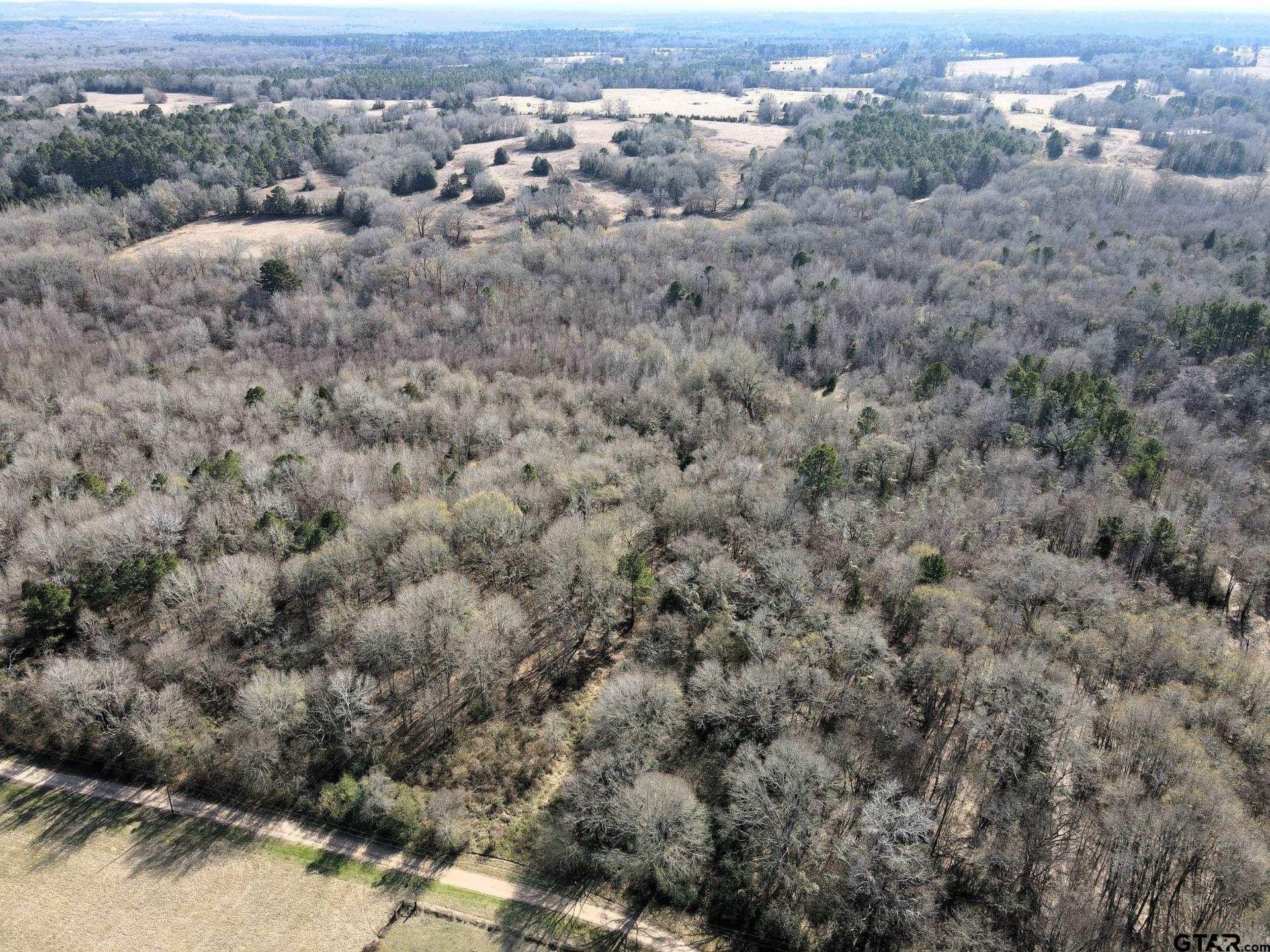 51.4 acres in Cherokee County gallery image 3