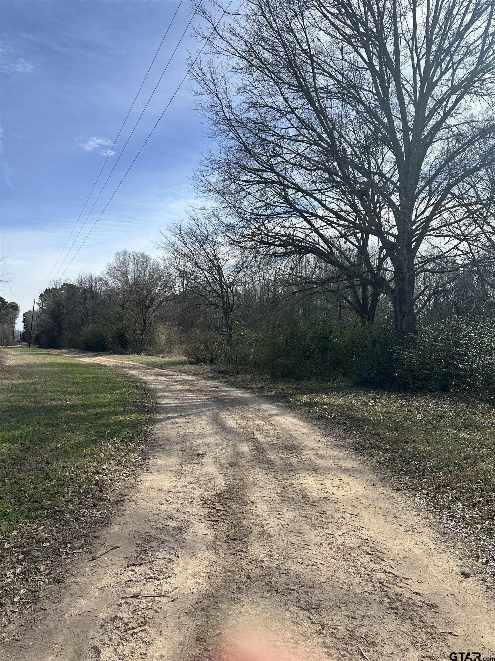 51.4 acres in Cherokee County gallery image 2