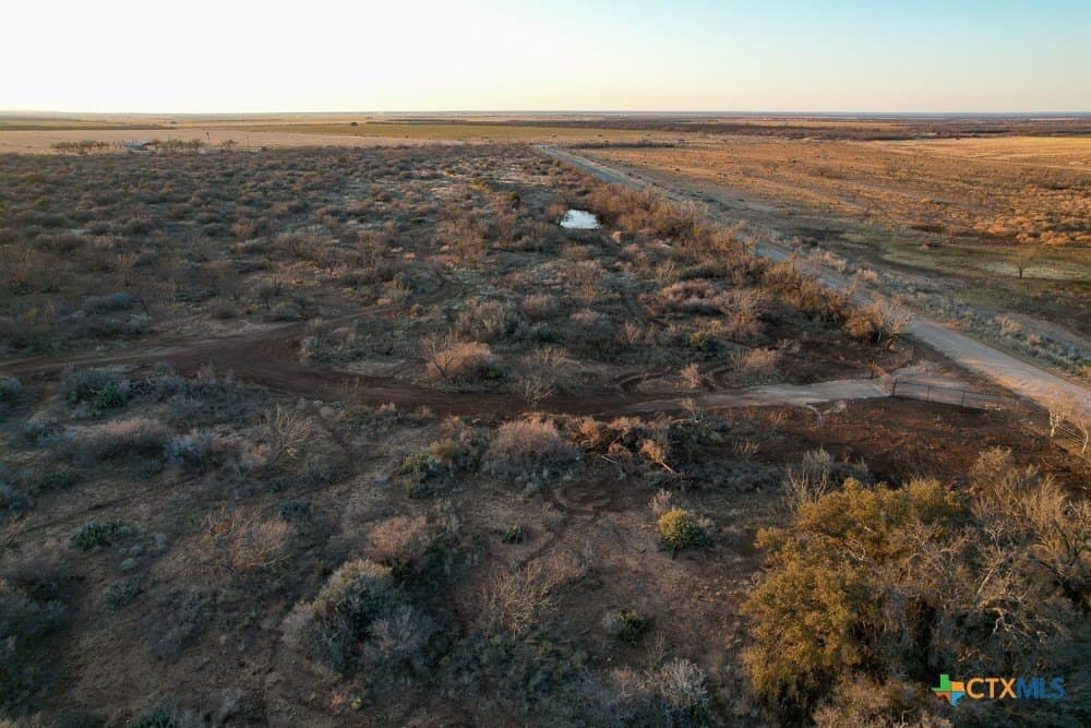 50 acres in McCulloch County gallery image 3