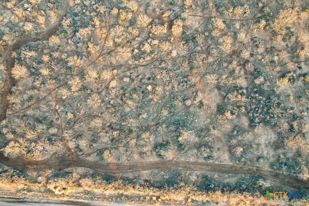 50 acres in McCulloch County gallery image 4