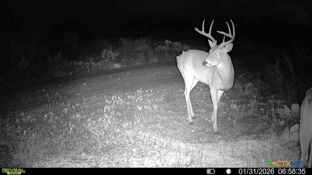 50 acres in McCulloch County - photo 26