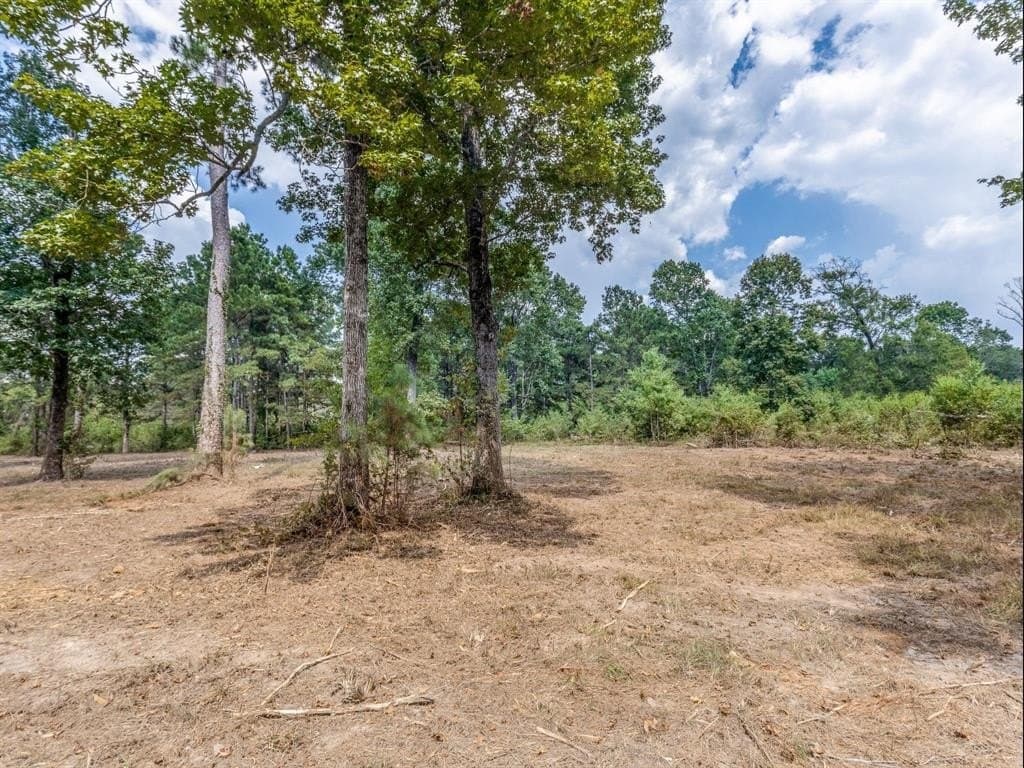 10 acres in Liberty County gallery image 3