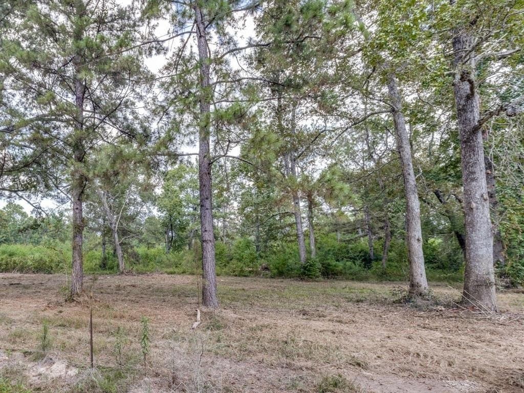 10 acres in Liberty County gallery image 4