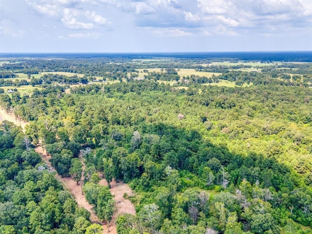 10 acres in Liberty County