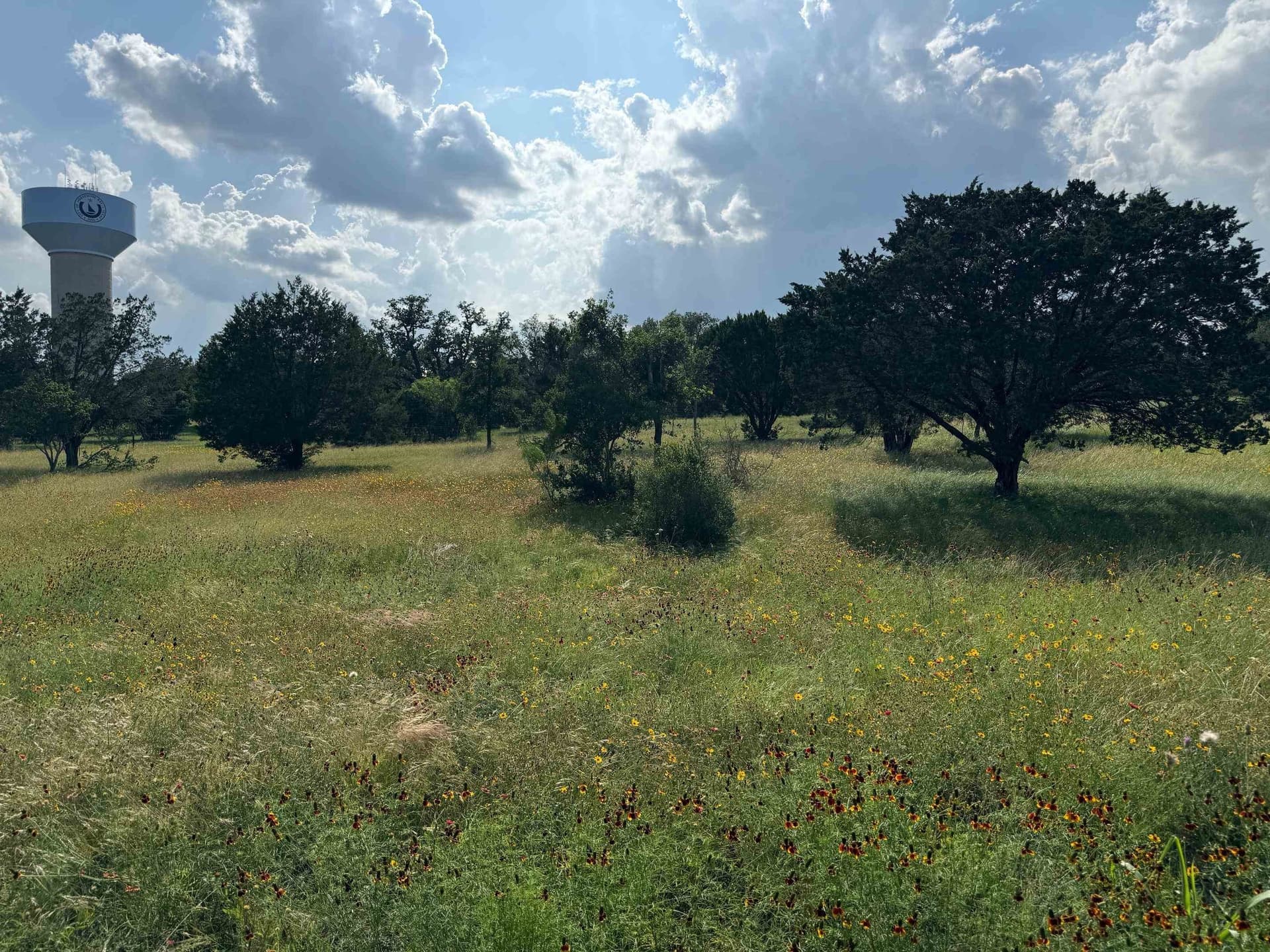 0.12 acres in Llano County gallery image 2