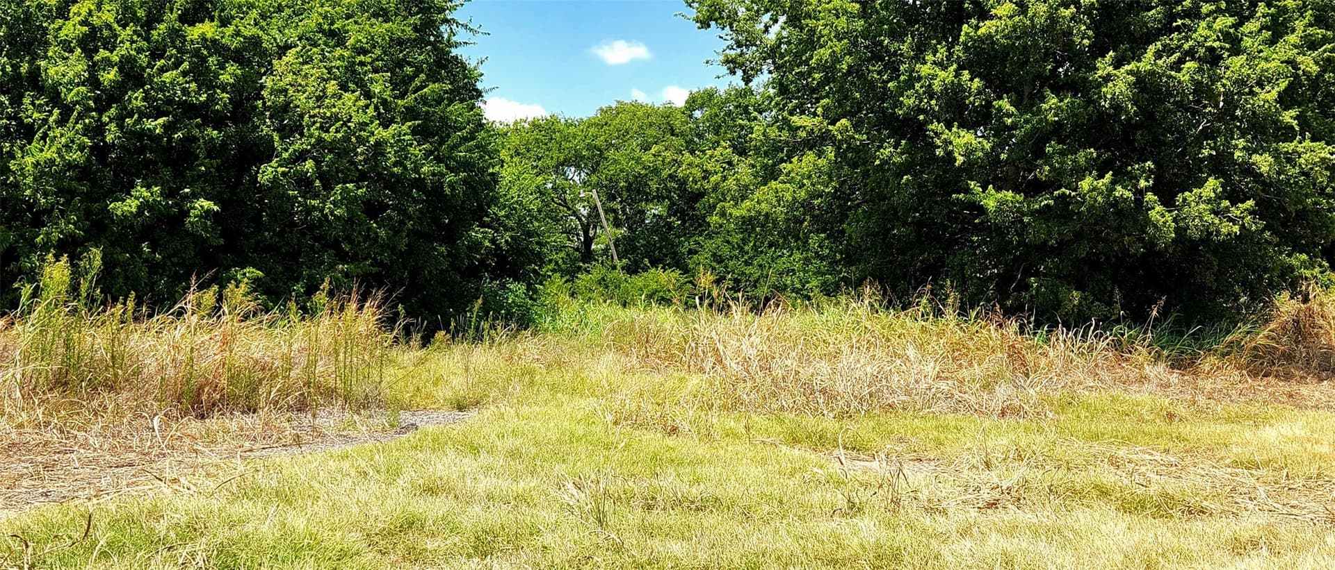 191.3 acres in Johnson County - photo 5