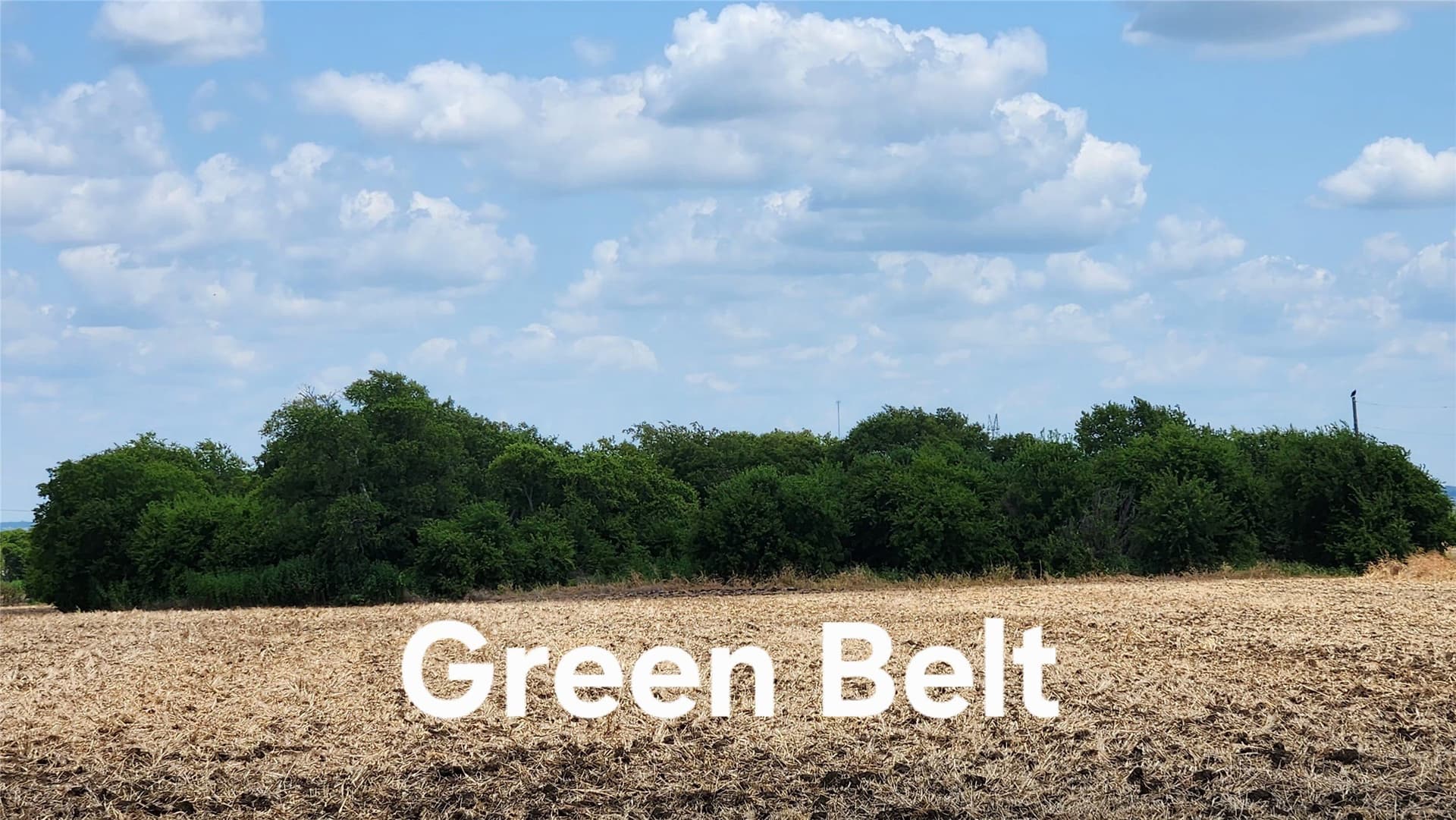 191.3 acres in Johnson County - photo 6