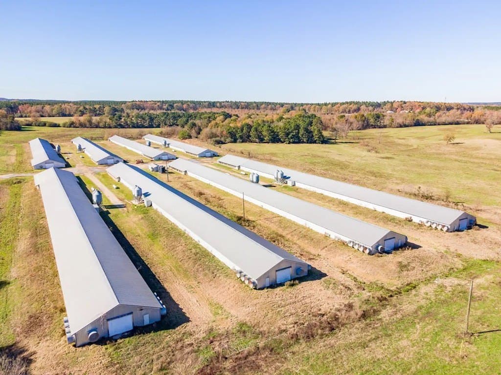 56 acres in Texas County - photo 9