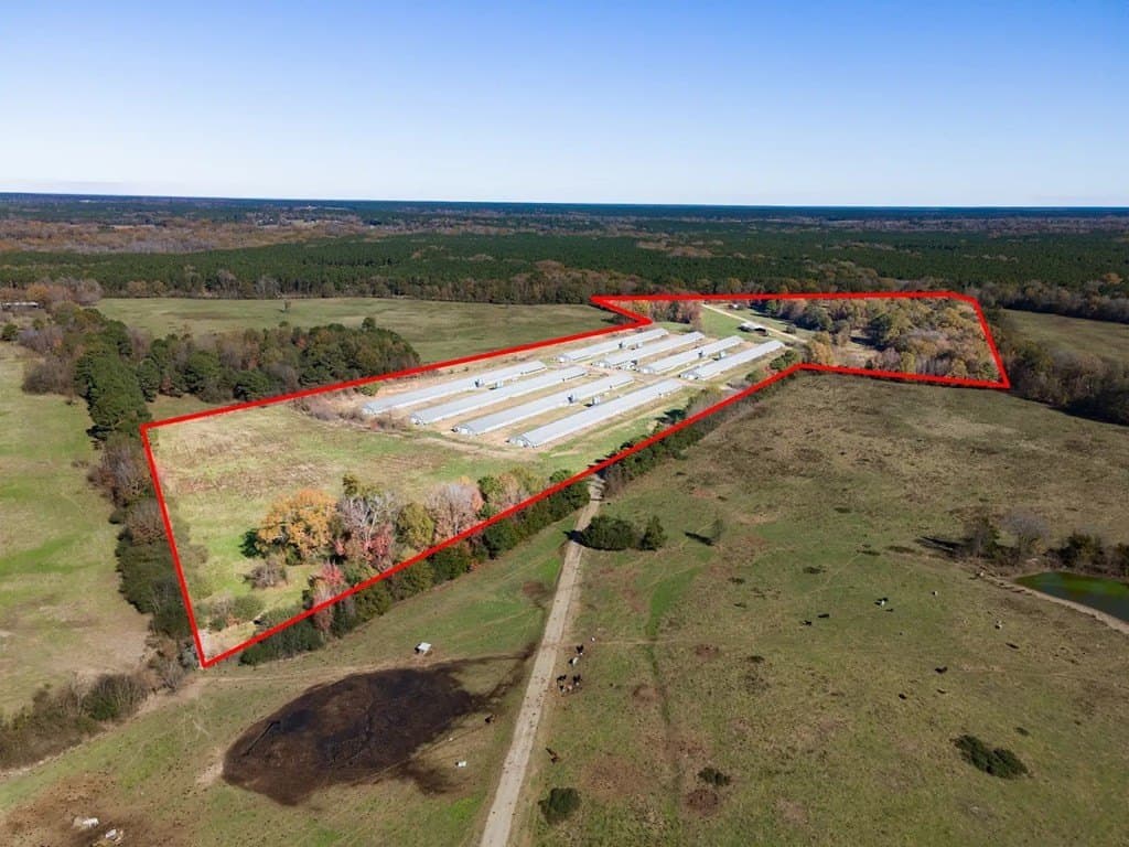 56 acres in Texas County - photo 6