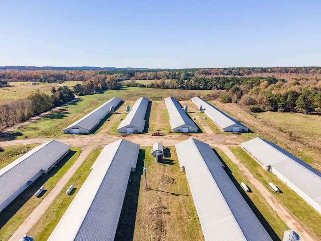 56 acres in Texas County - photo 8