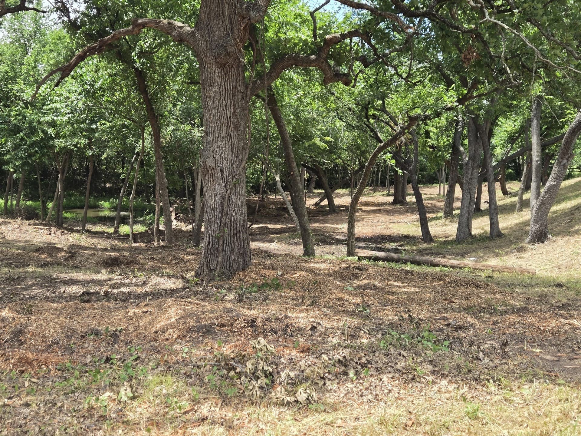 9.88 acres in Denton County - photo 6