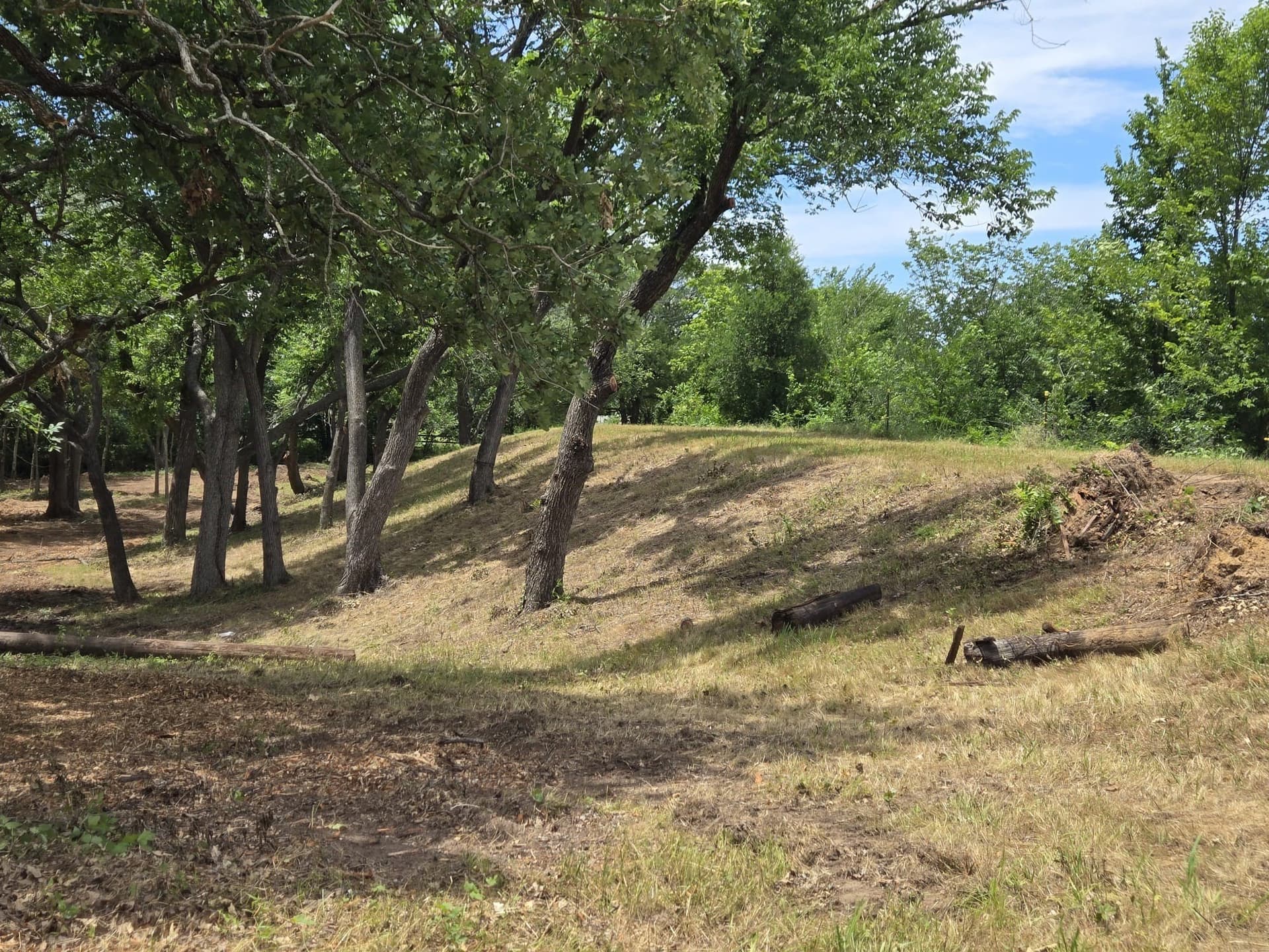 9.88 acres in Denton County - photo 7