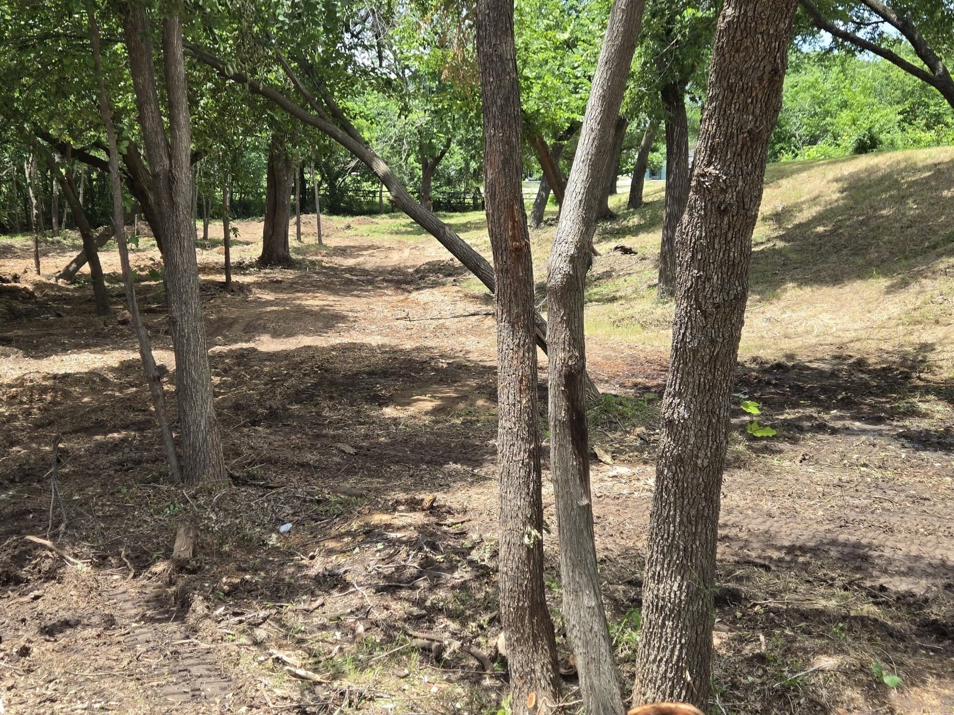 9.88 acres in Denton County - photo 9