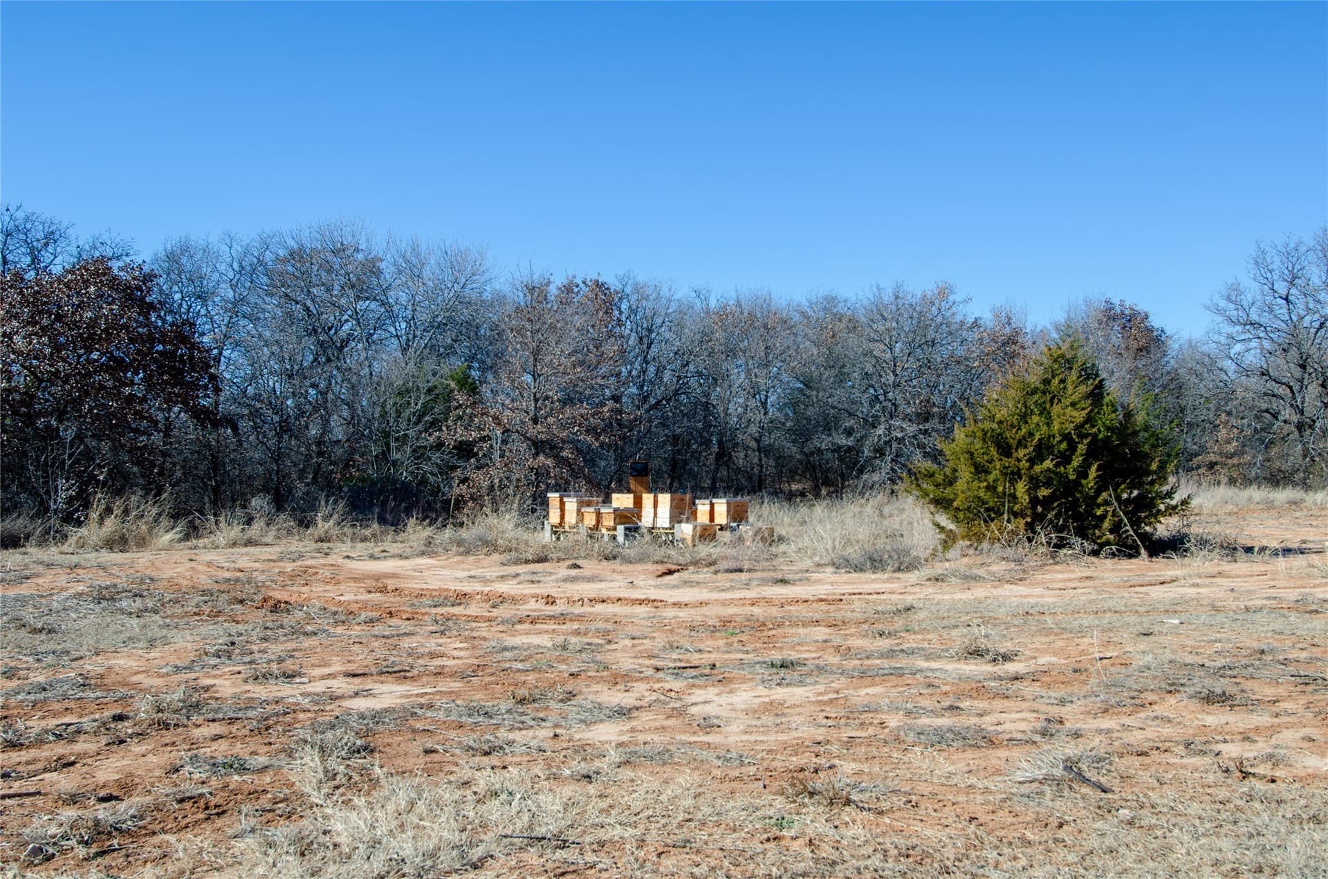 10.01 acres in Wise County - photo 12