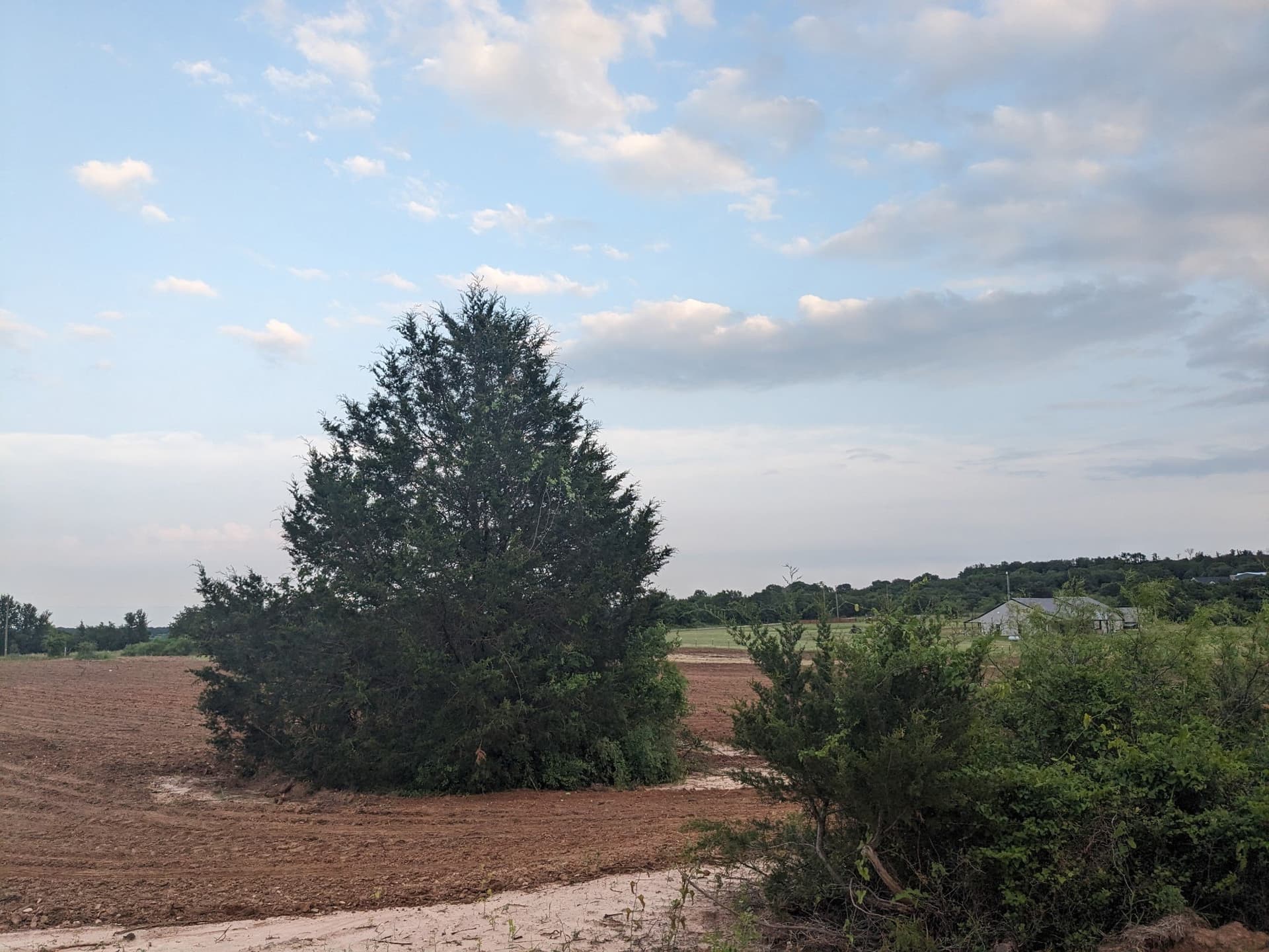 10.01 acres in Wise County - photo 6