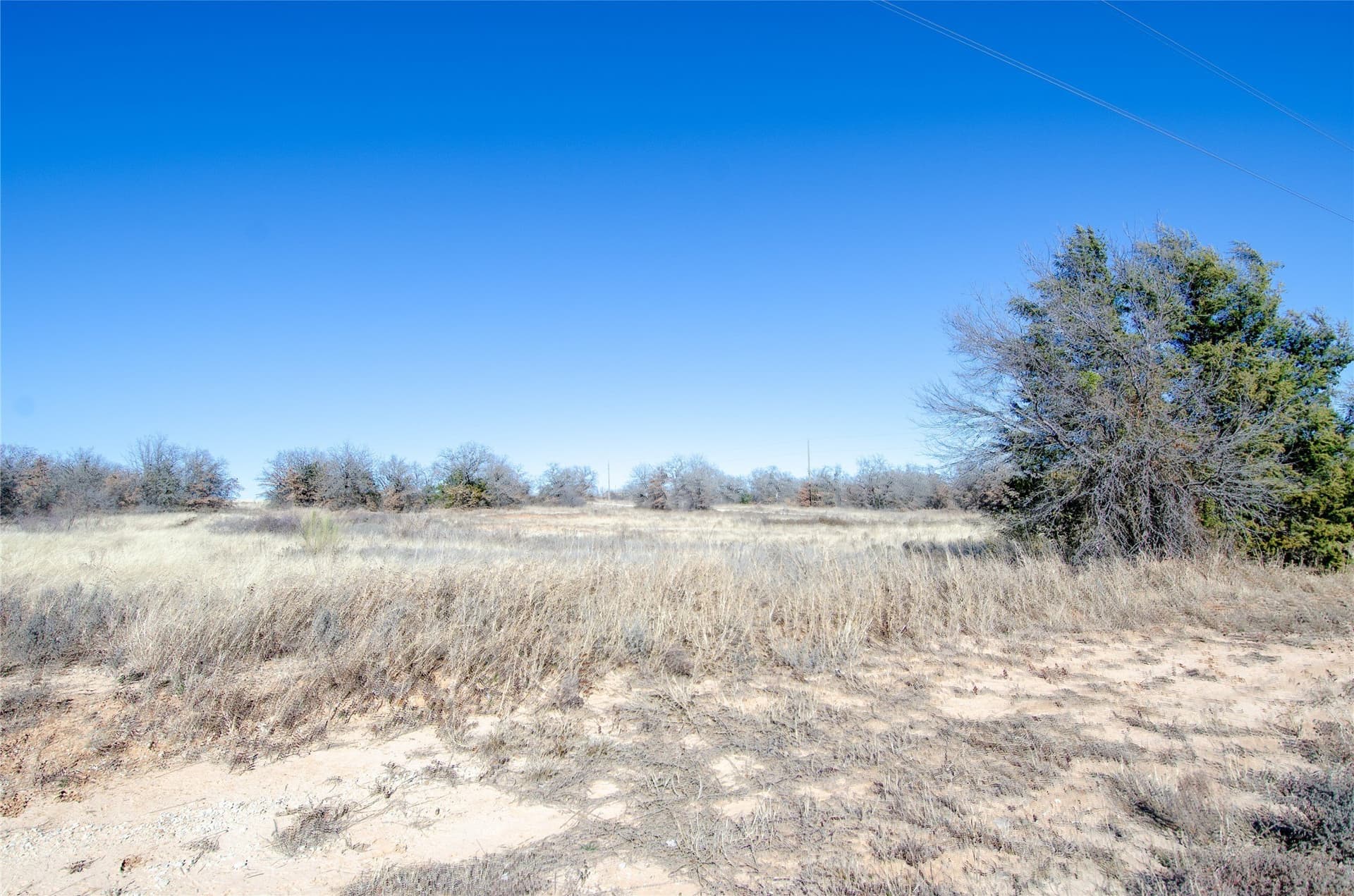 10.01 acres in Wise County - photo 22