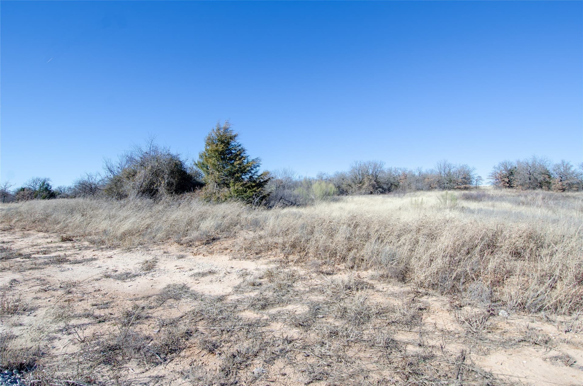 10.01 acres in Wise County - photo 21