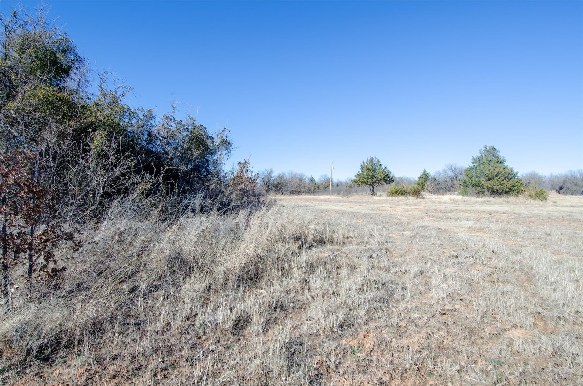 10.01 acres in Wise County - photo 19