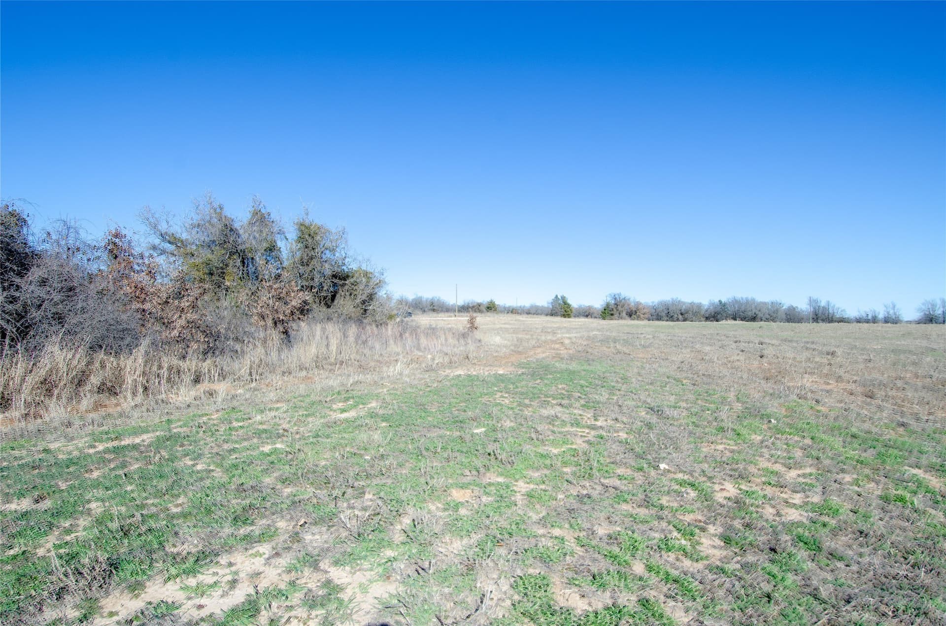 10.01 acres in Wise County - photo 29