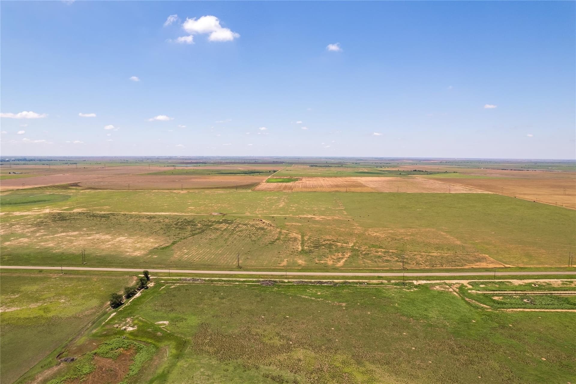 34.2 acres in Hale County gallery image 3