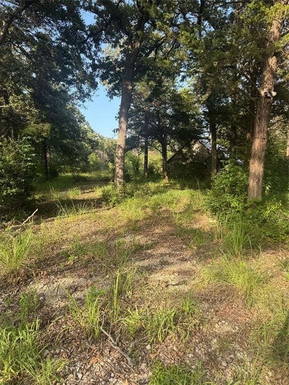 12 acres in Freestone County featured view