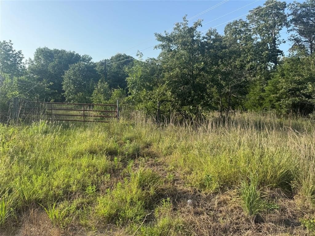 12 acres in Freestone County gallery image 2