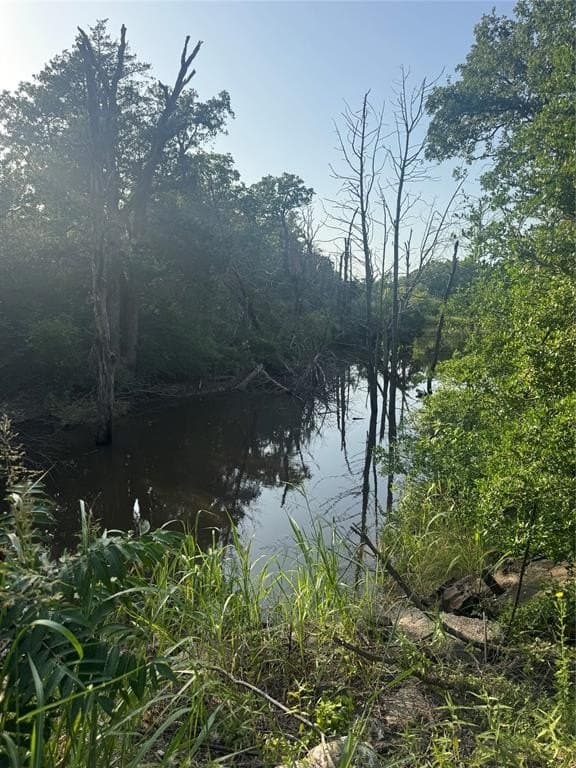 12 acres in Freestone County gallery image 4