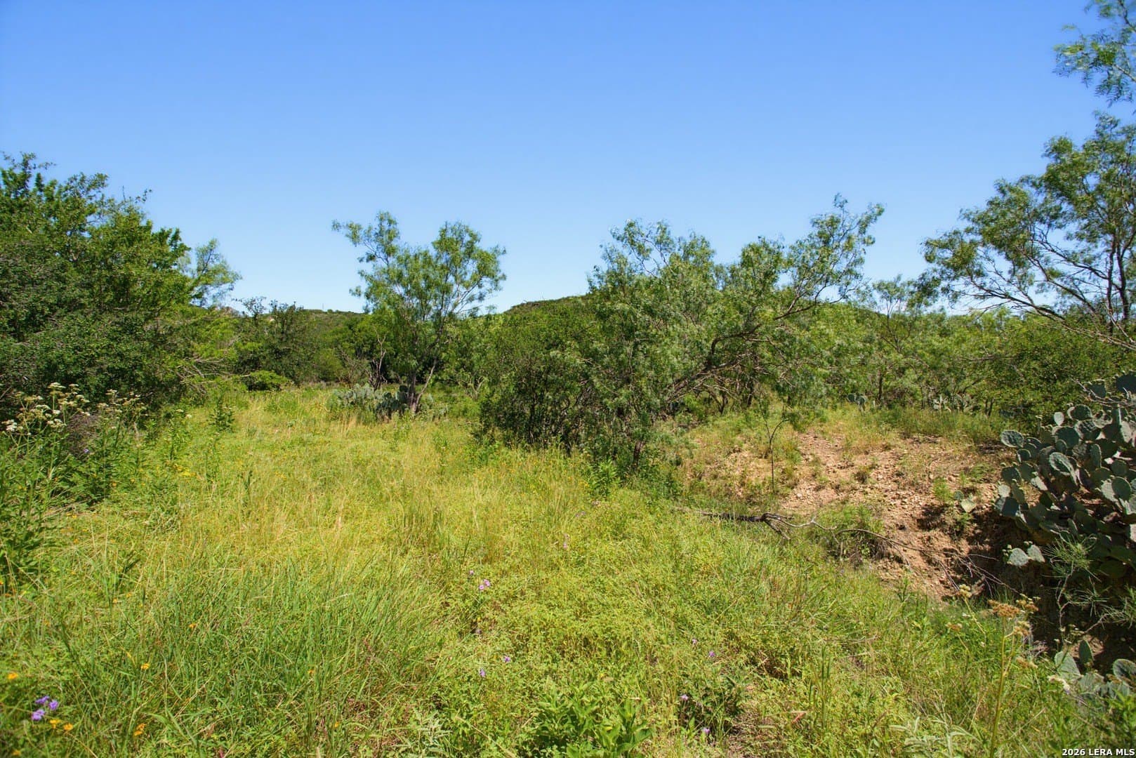 6.65 acres in Medina County - photo 13