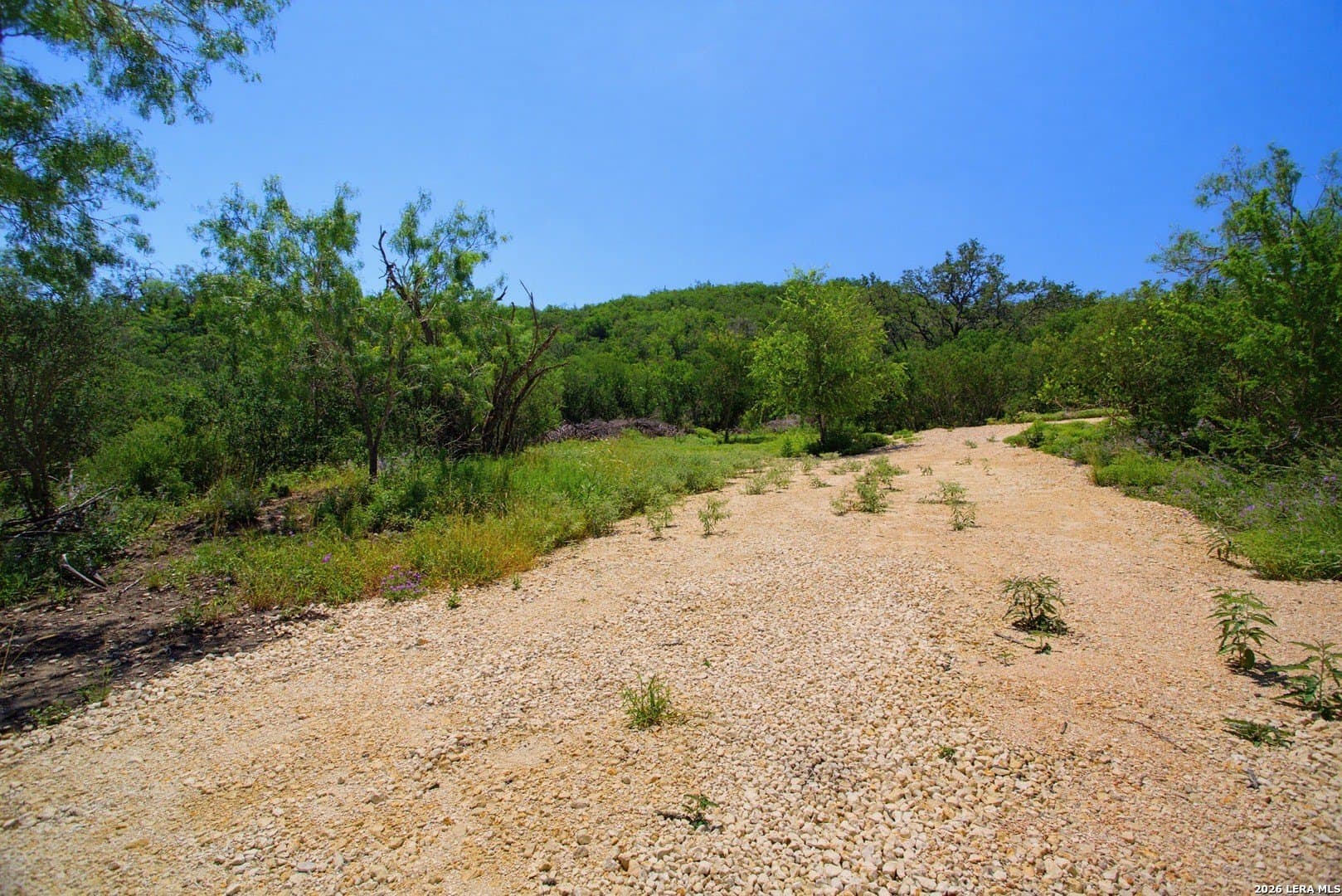 6.65 acres in Medina County - photo 17