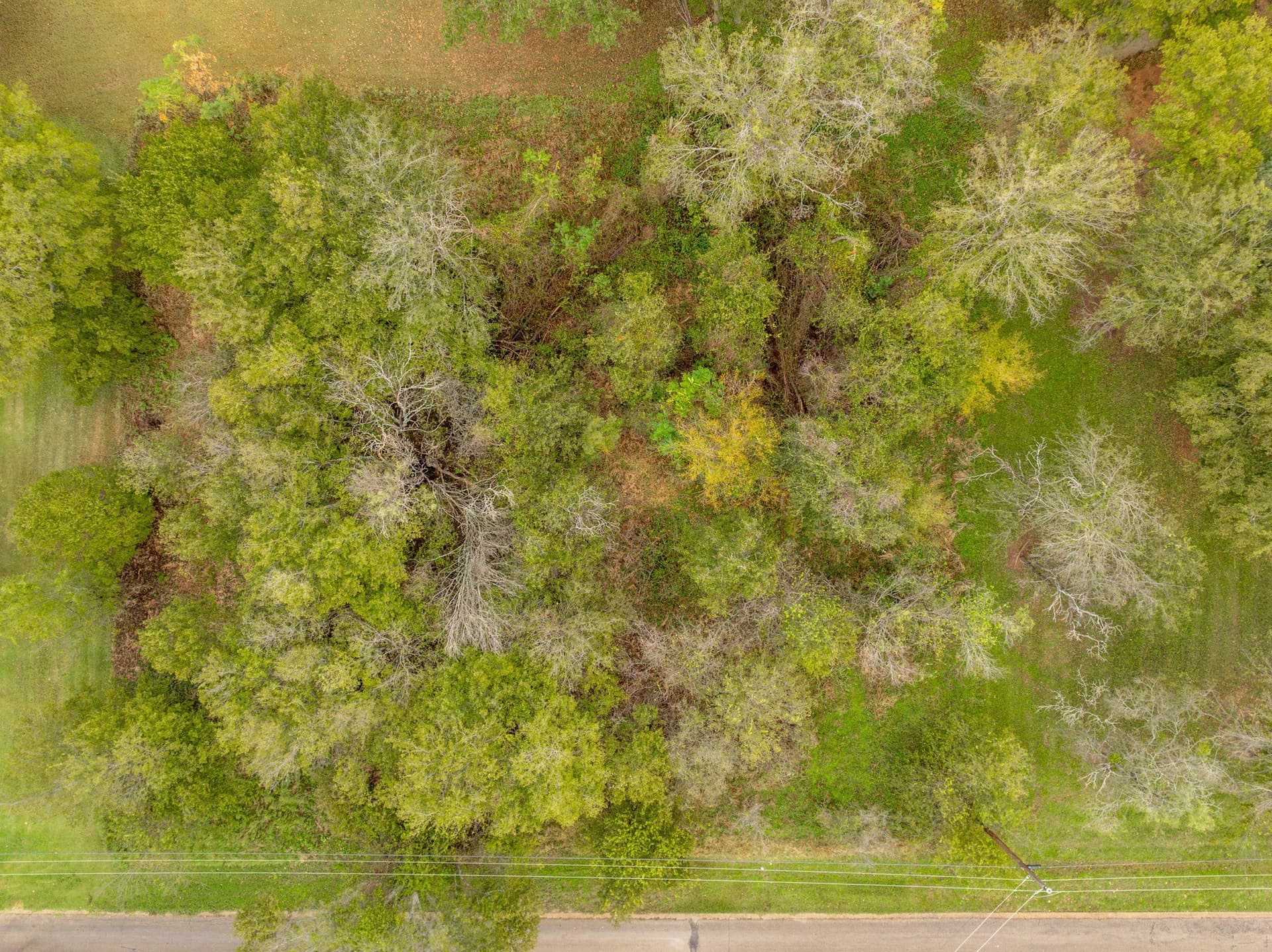 0.14 acres in Hill County - photo 6
